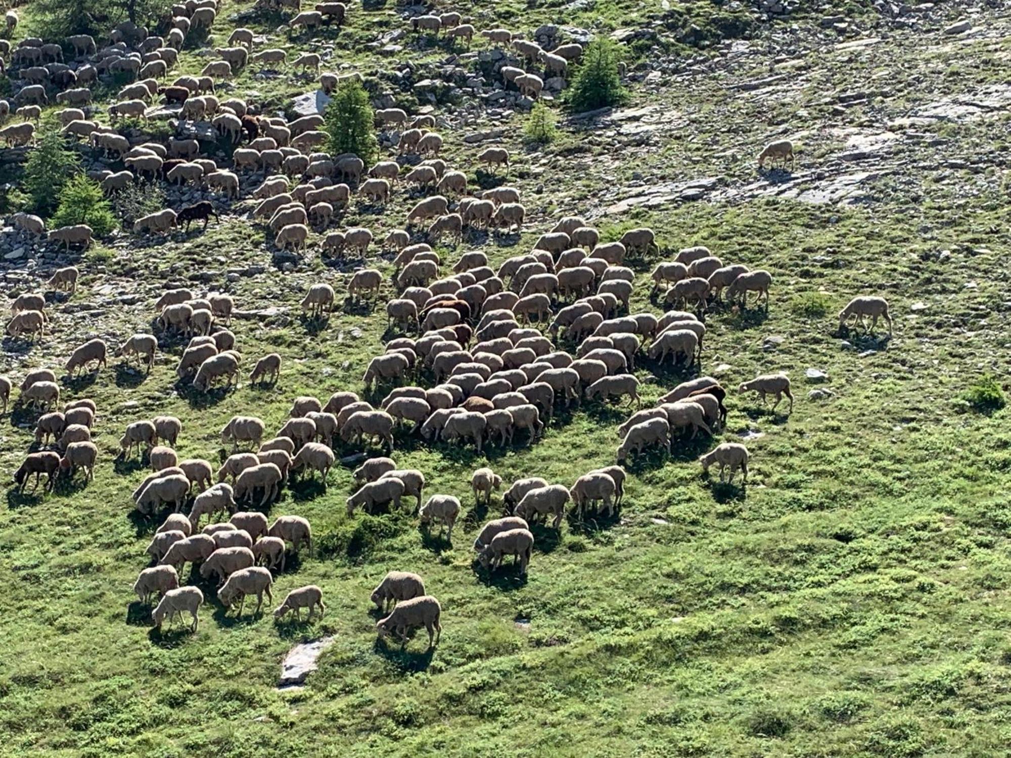 Le Flocon D'Aurouze 522, Appartement 4 Personnes, La Joue Du Loup Dış mekan fotoğraf